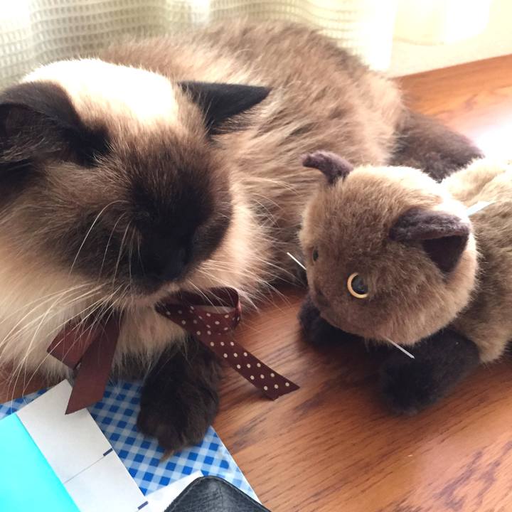 11bedf73 d135 489e b0ff e7bac5b4026d