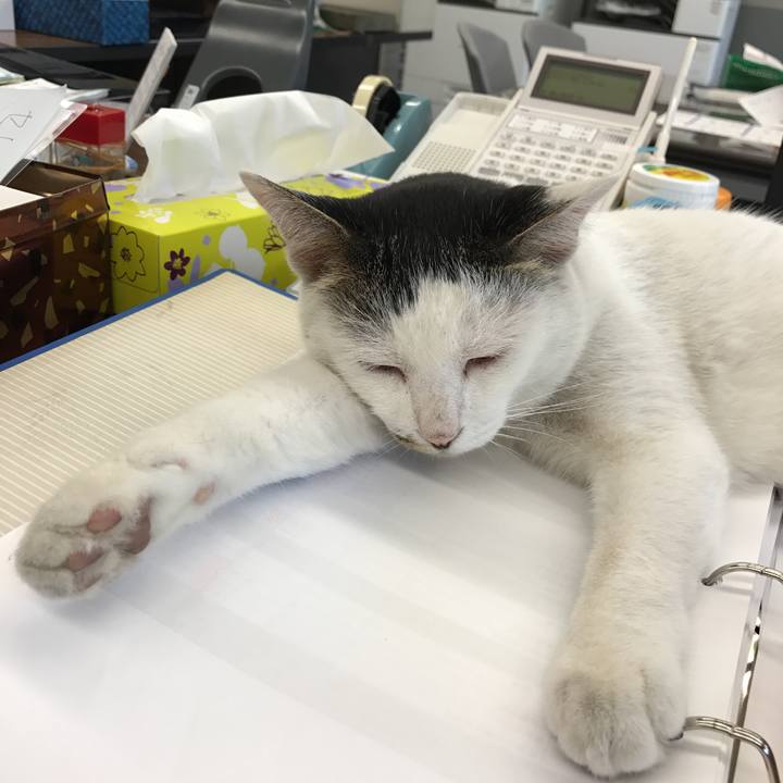 11bee08e 7b5a 4e1a a347 cc9e0577b45a