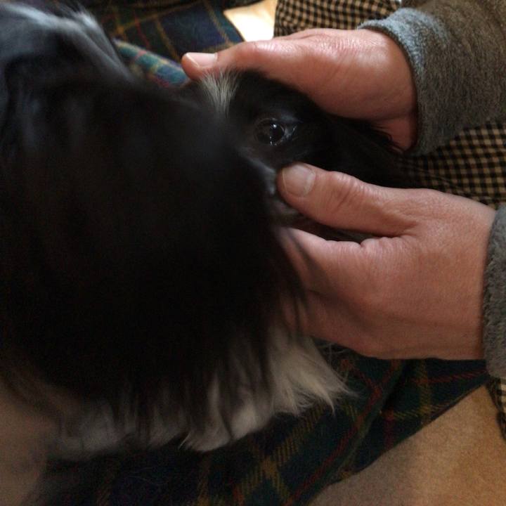 11bf17de b3ec 4b29 8e92 9c24beaebb7e