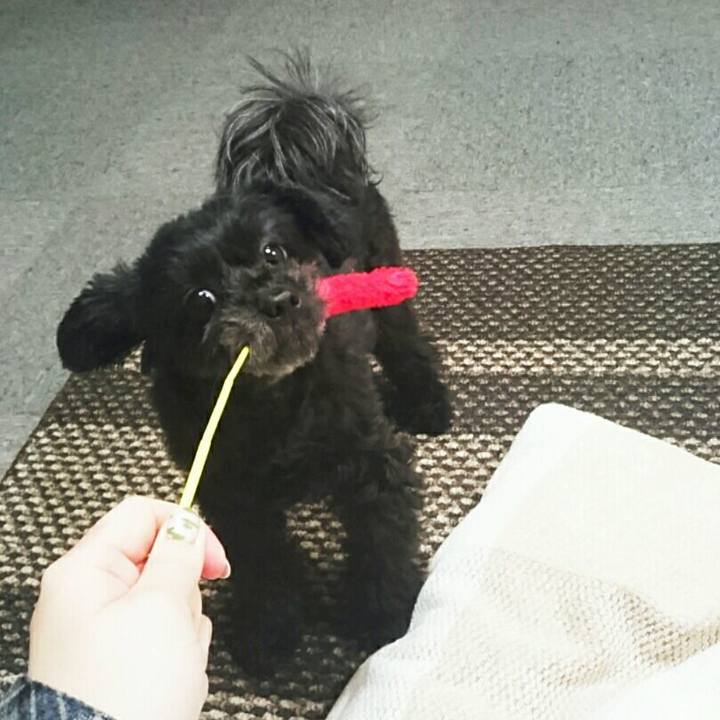 11bf629d ea66 4529 b7e0 9675f05216d8