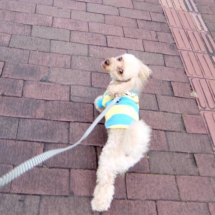 11bfea5c 3cea 4d98 bffa 3f57ecc5e73b