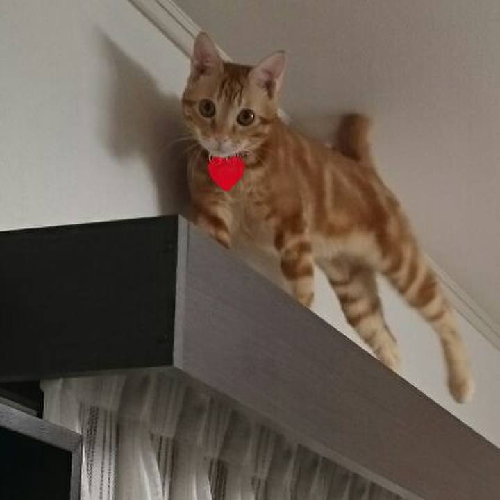 11bff2d0 b443 439a 8e63 715c57b437f3