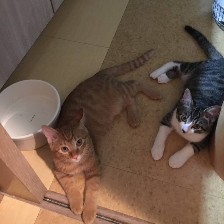 11c02d74 3869 4674 8668 39d5a8679fbd