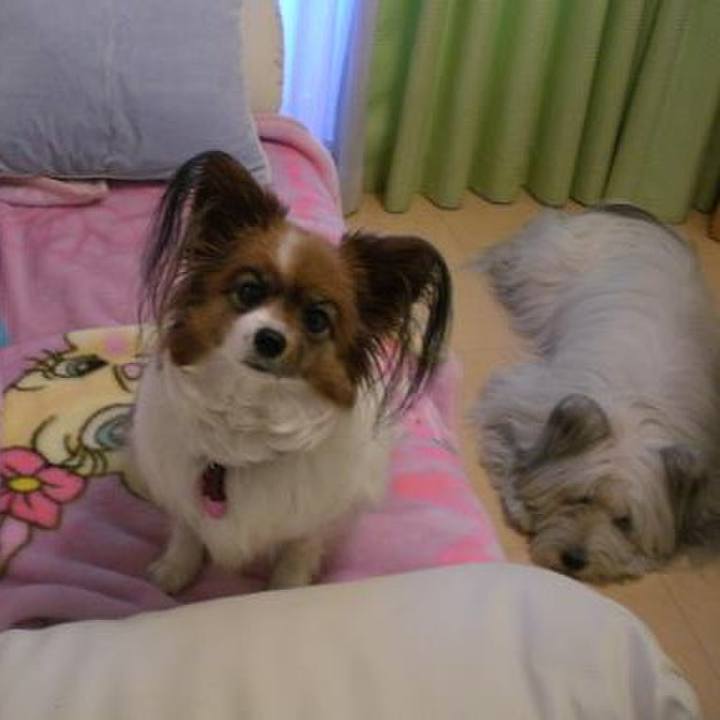 11c07fd2 286e 49ab 8073 946ade9959ac