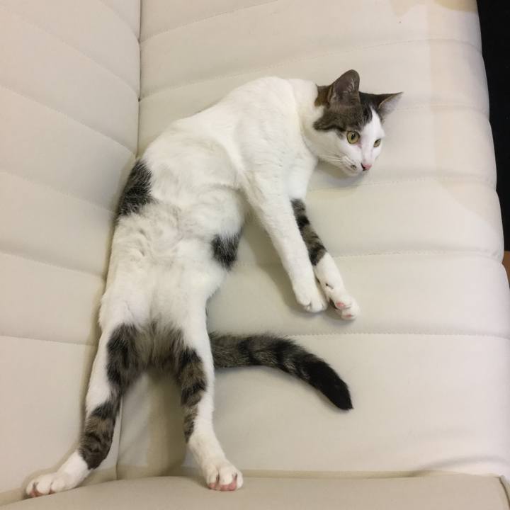 11c25a9b 5a18 4930 aa5f 8e2fdfa85edc