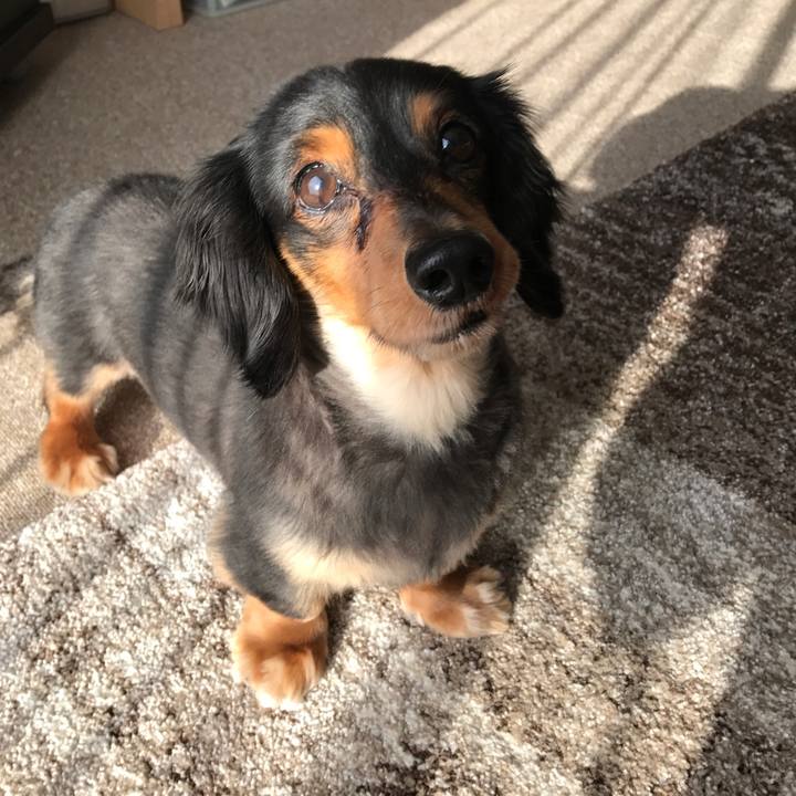 11c2d9da 393f 4e87 9a6a 0243b237a6c9