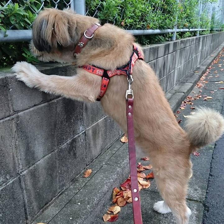 11c3a62b 6dff 453a 8721 f07e044e45b7