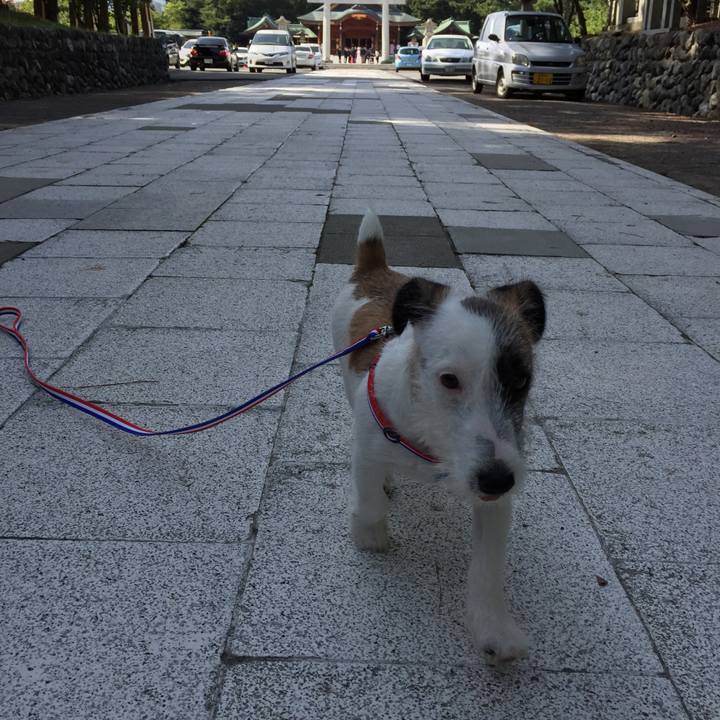 11c3ca79 22cd 4e57 b466 a182b262305d