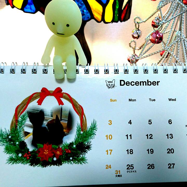 11c41a11 744b 4910 9705 3e4ae256c28b