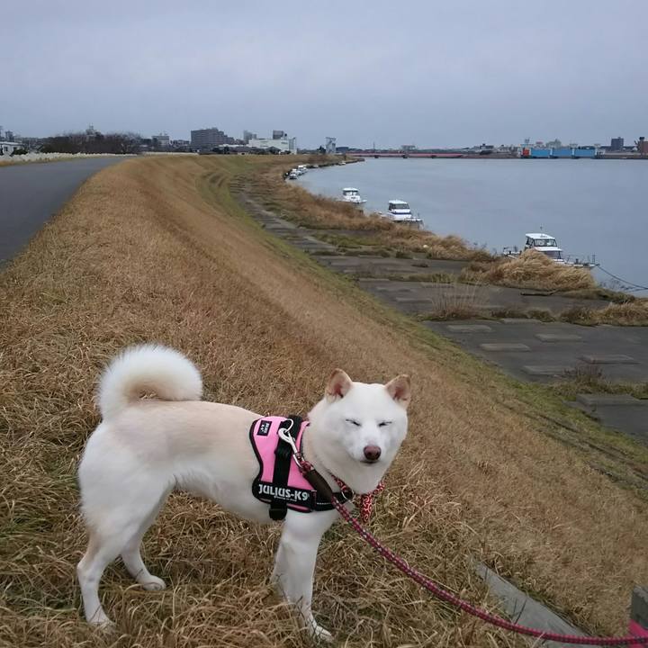 11c43c3f de63 4adb 9b9b fa9b3e059f7b