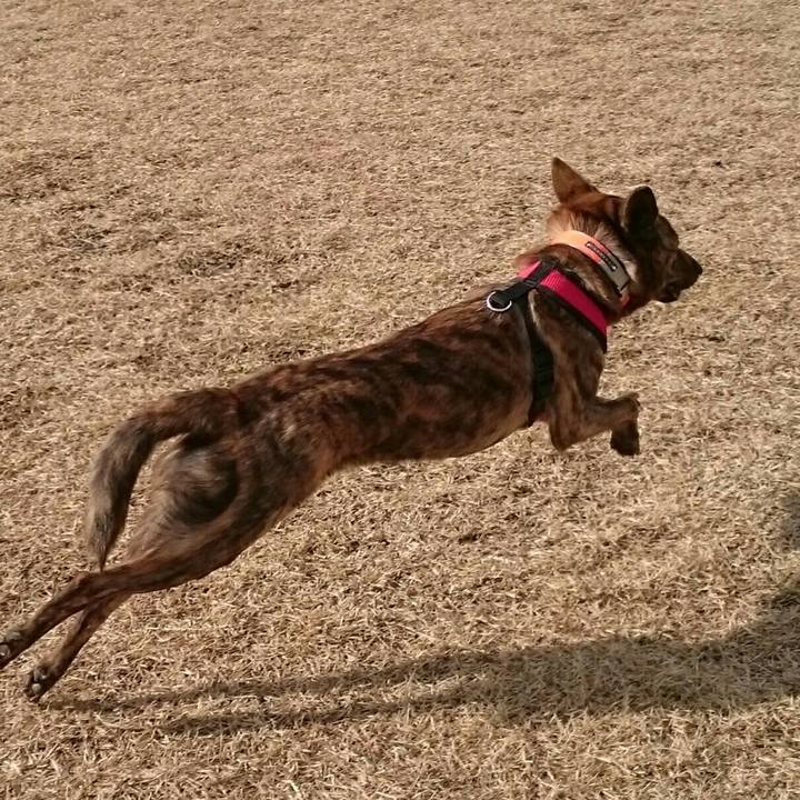 11c491ed d5a8 4d8b 8f5e b0f8b2227511