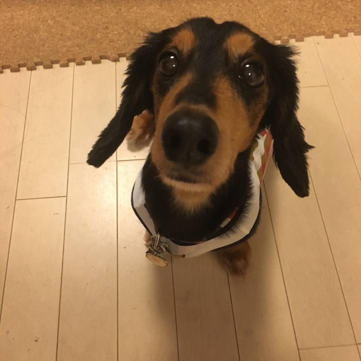 11c4938c 0016 4e58 8ae9 cf26b0b60168