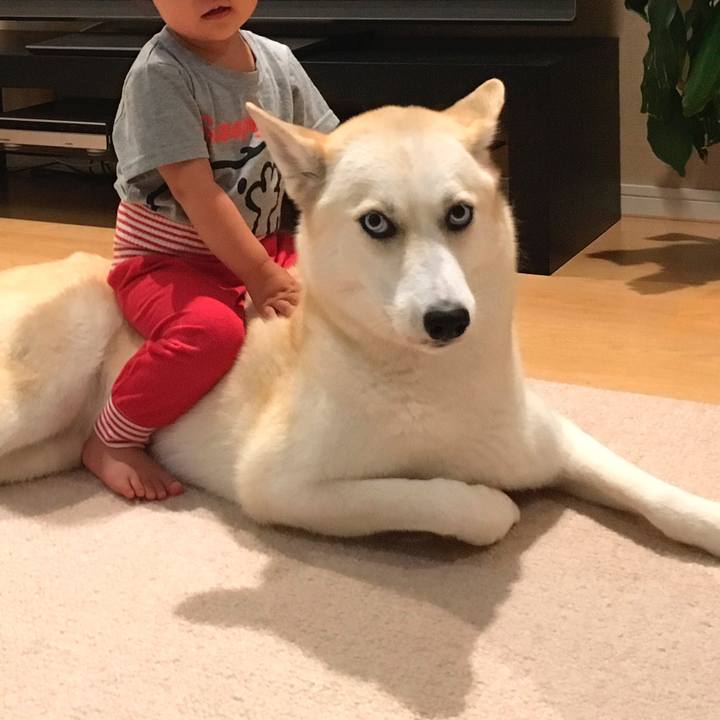 11c4fc68 ad42 459b ba3e e864a655a2cd