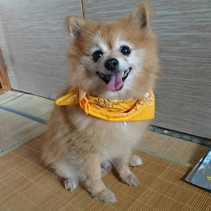 11c5f2d5 2c8b 45a5 bd0f 1cefb5d8a6f4