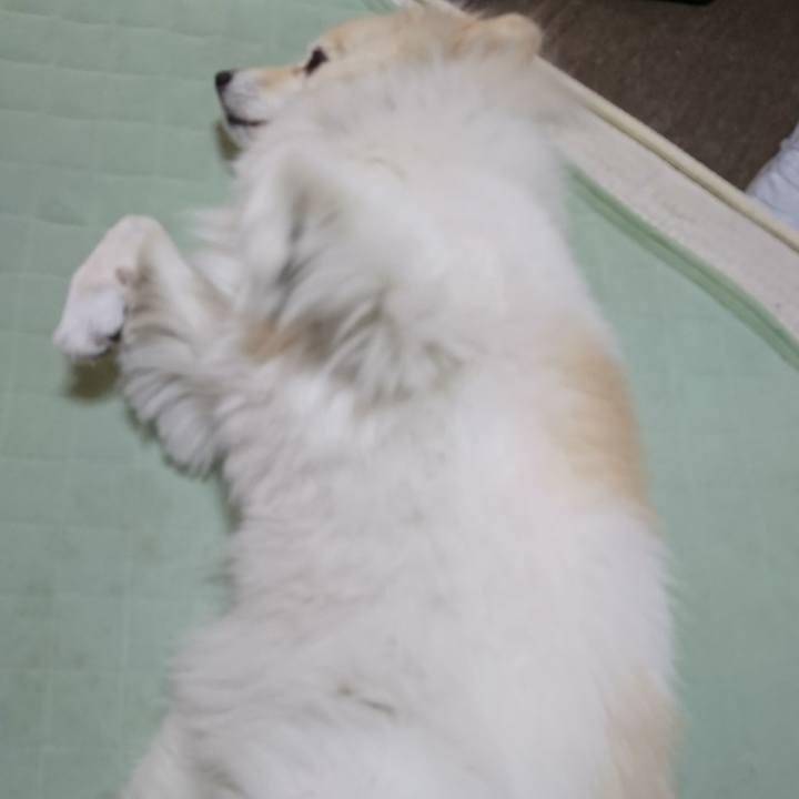 11c62bfc 7ed8 4438 aa0d 62cffb990ac8