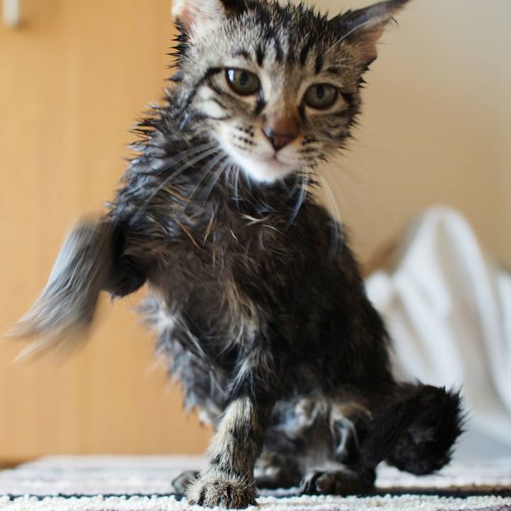 11c79dbf 8257 4597 a88a 567003b41c80