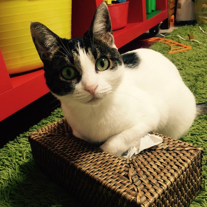 11c80bb6 8c13 4445 b068 26ecf640cf5f