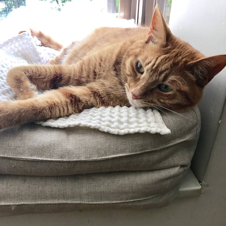 11c87fba e169 445e b157 8fb470fae427