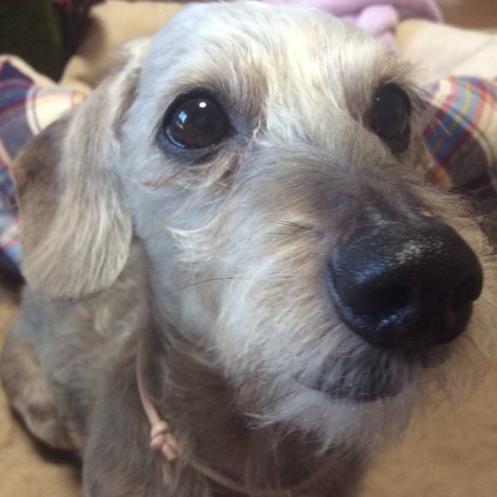 11c95e24 1a59 4e6d b226 5805508e5147