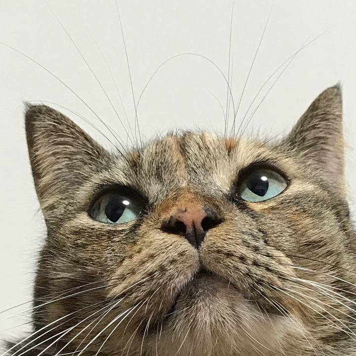 11cac03f 0203 4310 bce1 103ae3ccc027