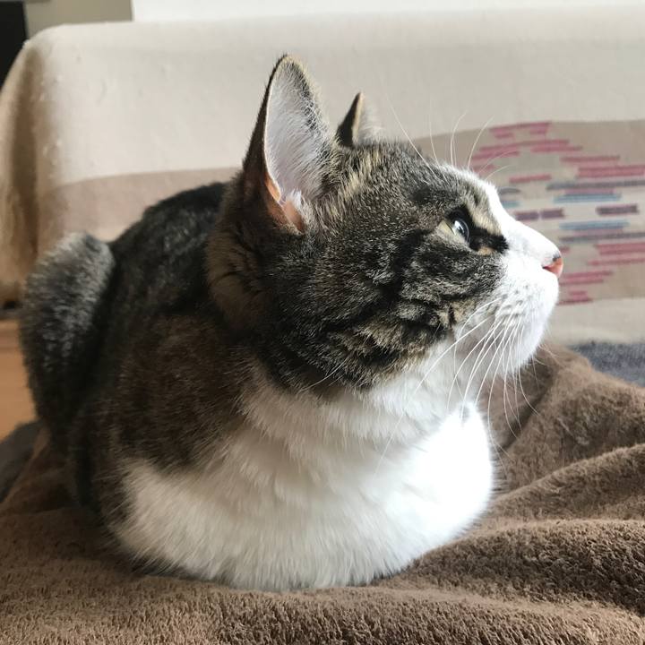 11cb3f15 0776 4e71 87d8 db0156d3e7f1