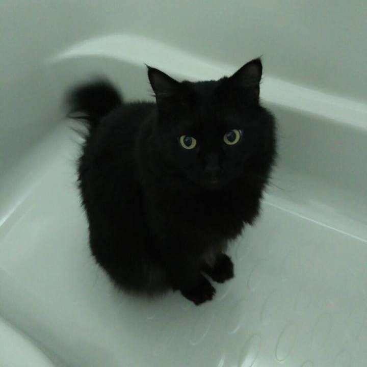 11cb3ffb e8f1 4e12 8a43 ac3f0ef5b36e