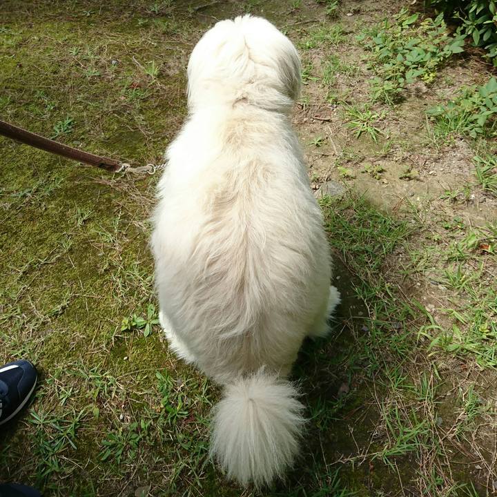 11cba5e8 5d79 41e5 8bb1 769b41e5e9ef