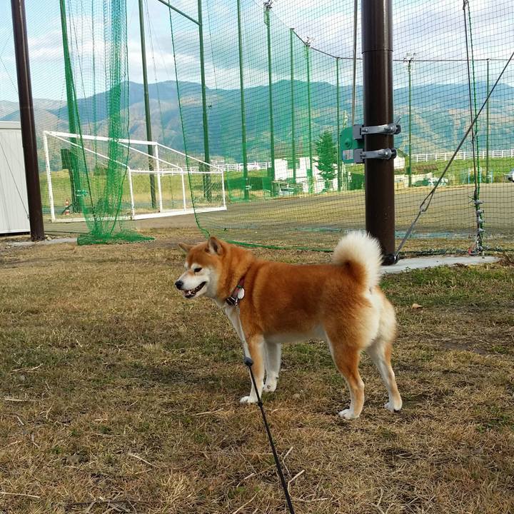 11ccc852 bc25 4571 a6dd 2ae1cf336d9e