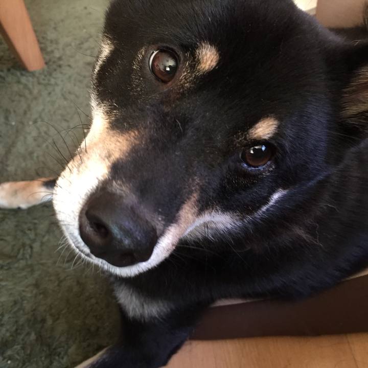 11cd0c2d d646 4086 95b6 12e66caba6d8