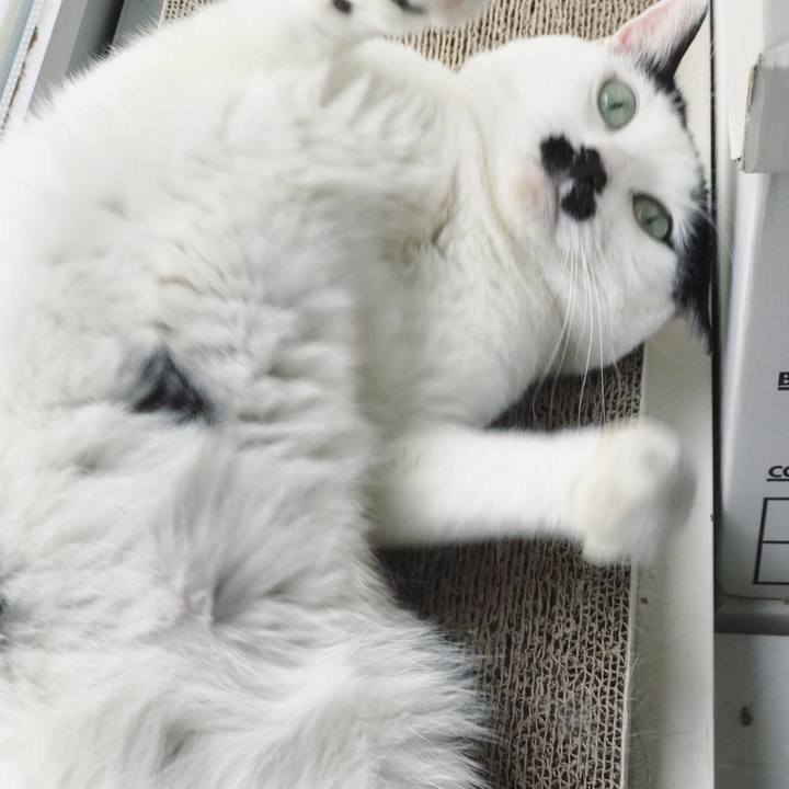 11cd85c3 1956 45aa a2e1 84ffe8100e4f