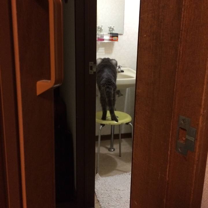 11ceead9 8508 4517 87db f1bd08eff0dd