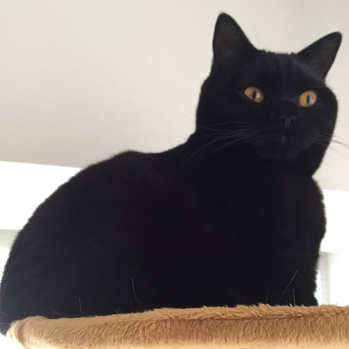 11d039b5 cf13 4d9a 8ccd 0ec3e6adc357