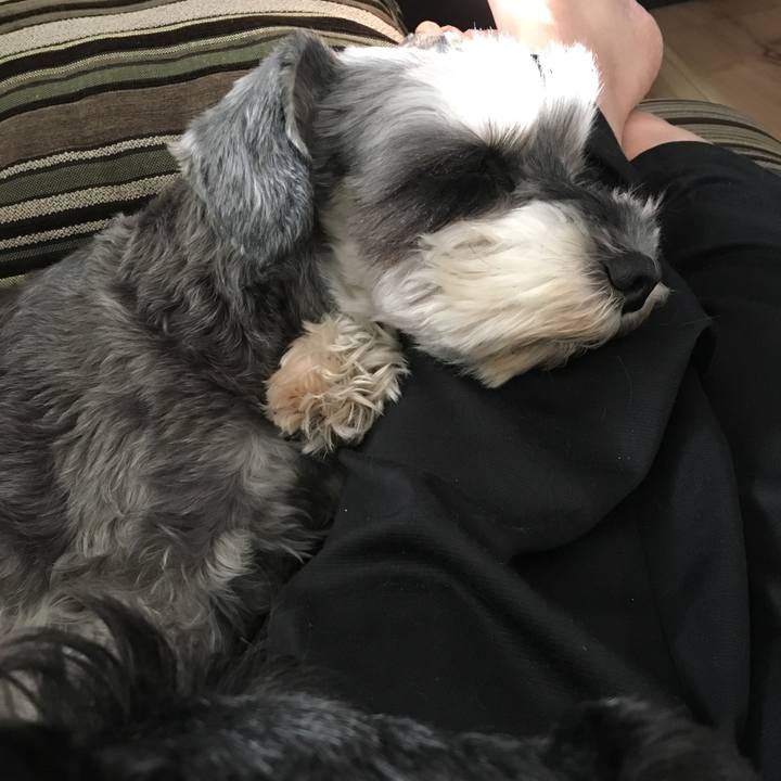 11d0fa00 c77e 45b7 8728 0ea59be97f90