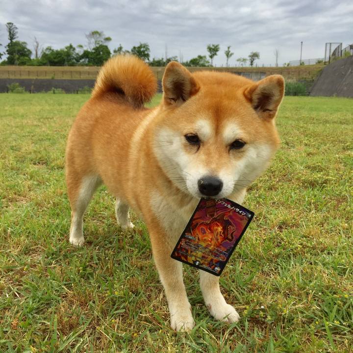 11d12649 b62c 4b34 bef0 d51f7de96476