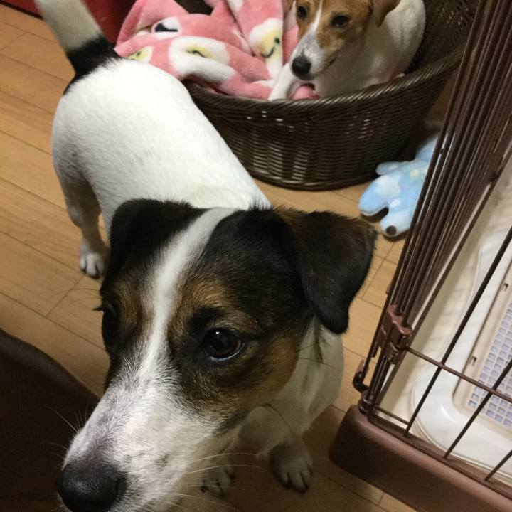 11d14913 9085 4968 a675 34a51a027fc1