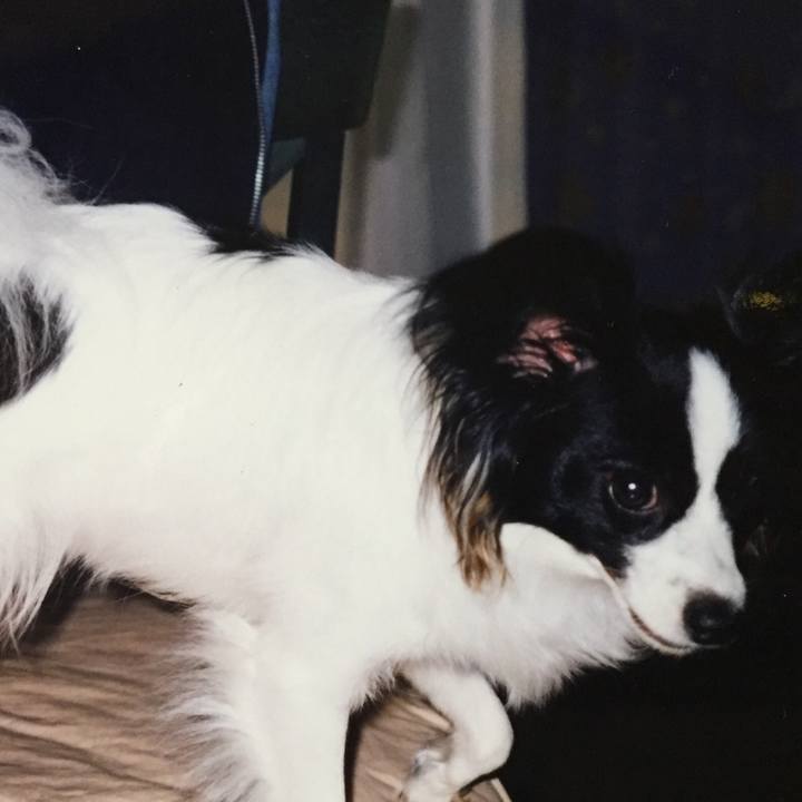 11d14aa9 5763 4e90 9f16 776dea484286