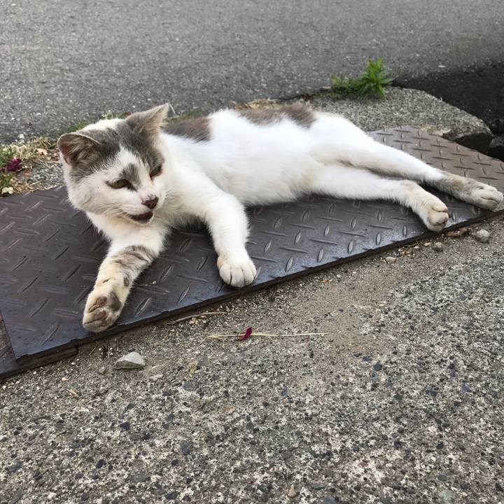 11d1bbea 3dd1 4638 91dc fca86c9ef71d