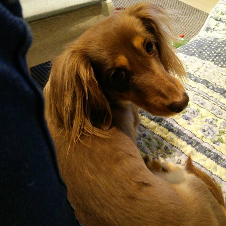 11d1d302 59fb 4c67 aac0 8805c04051c0