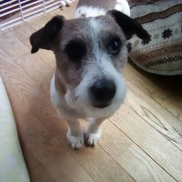 11d2bec4 8216 4cfc a8af cfce6637f2c5