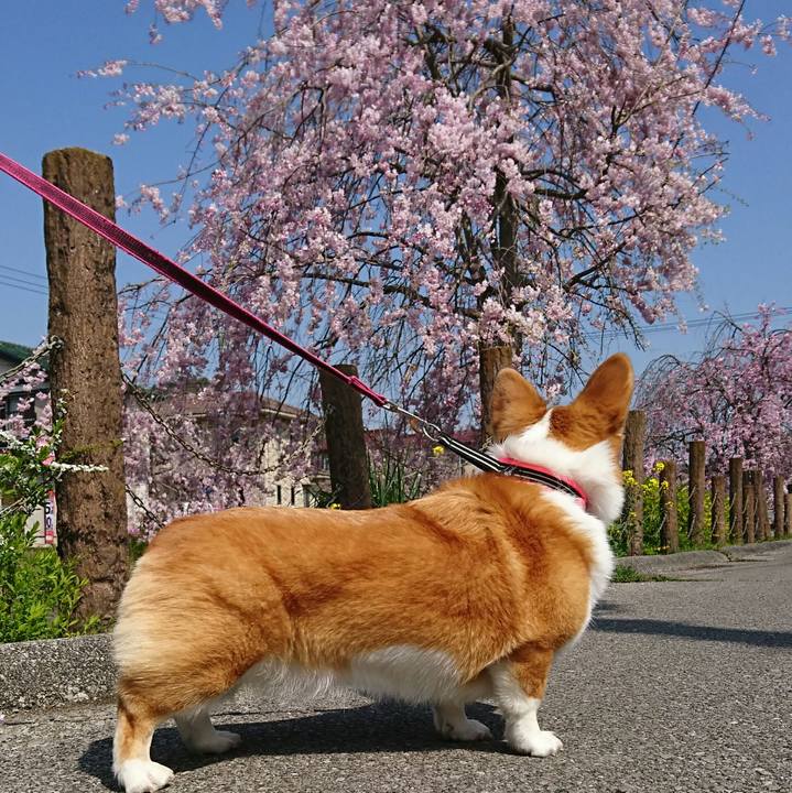 11d2ccbd 9b45 4450 a18d d46189da455d