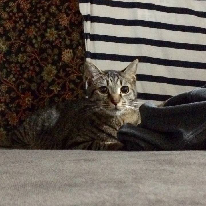 11d301c0 d183 4bb8 b7ee e1eaf06d1c3a