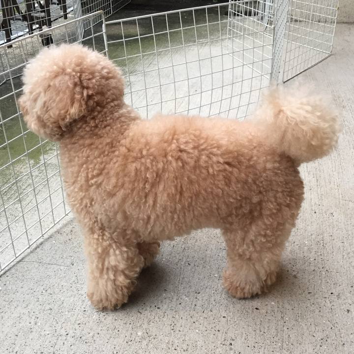 11d31363 a5af 4d45 9e0d 6fe0e22a9121