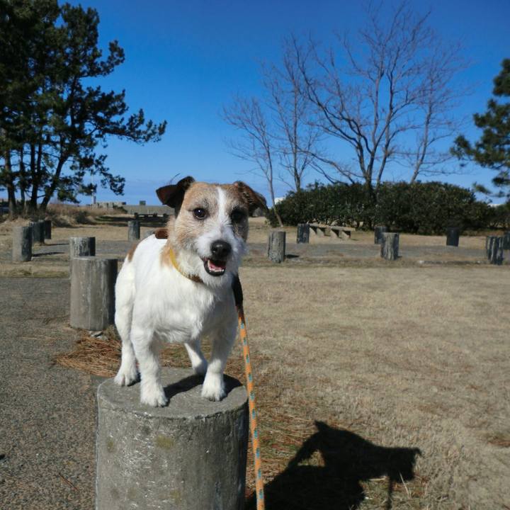 11d38c5a 9976 4bd8 8435 d2887972d46a