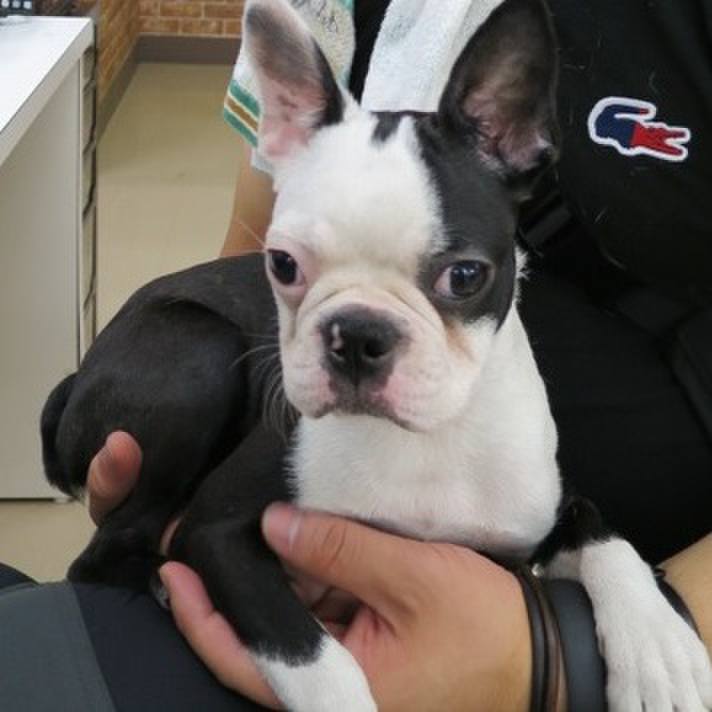 11d4e606 f01b 4dad 8804 a67f9d2493ed