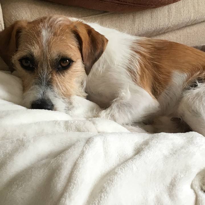 11d4f948 0e34 4884 8817 e85f3ca59a94