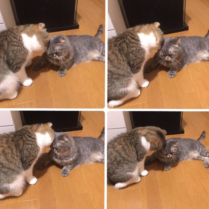 11d51385 af31 40ed ac32 2b6262b92c3a