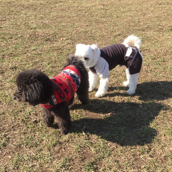 11d55642 f4c8 4dbc 831a 1d269789c0e2