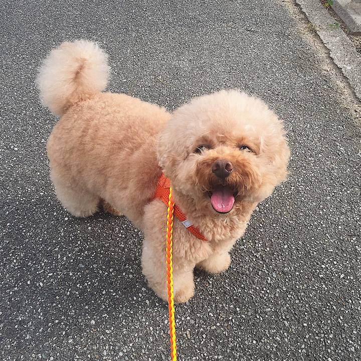 11d58af5 16f7 4344 a7bd 03840b0ab311