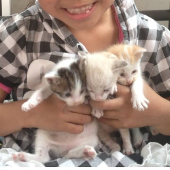 11d5b8db 8d4e 4fd7 bd68 9b5885703dec