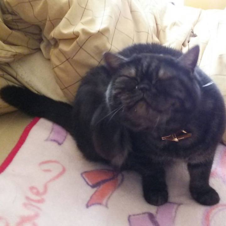 11d5f088 cfec 4836 9ba5 6ae3cb7b1234